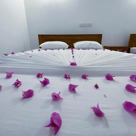 Yala Safari Green Home Stay Tissamaharama Dış mekan fotoğraf