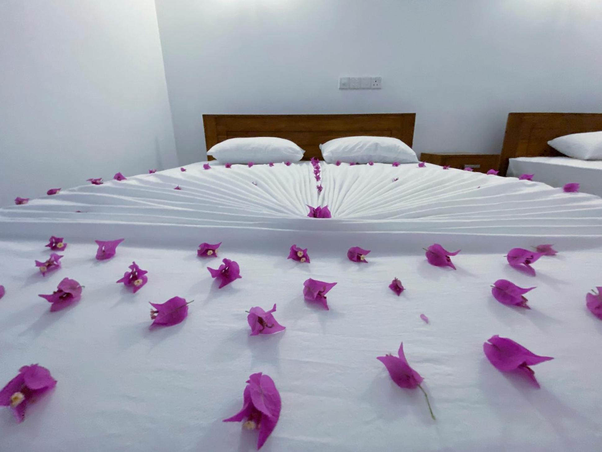 Yala Safari Green Home Stay Tissamaharama Dış mekan fotoğraf